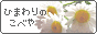 �o�i�[